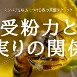 受粉力と実りの関係