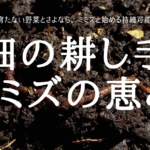 畑の耕し手 ミミズの恵み