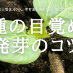 種の目覚め 発芽のコツ