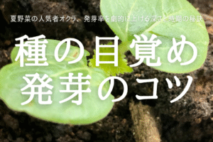 種の目覚め 発芽のコツ