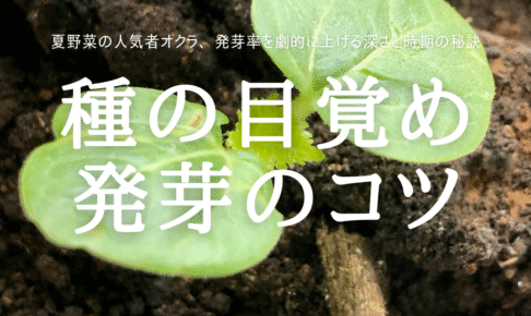 種の目覚め 発芽のコツ