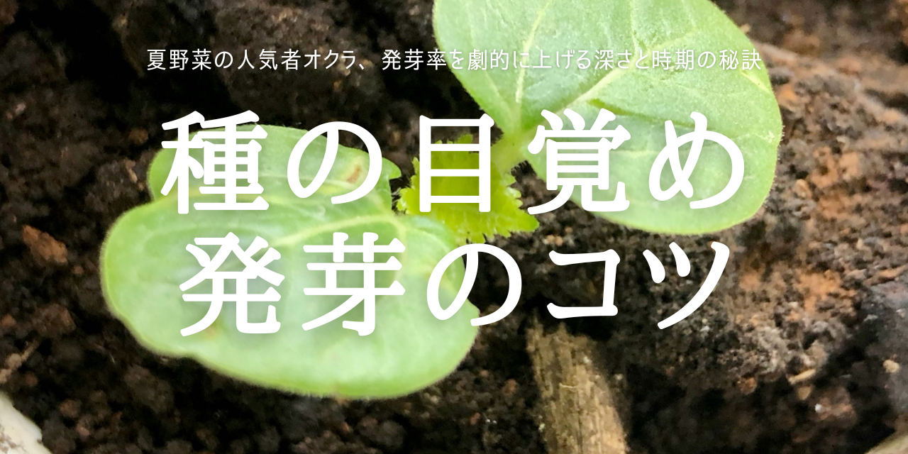 種の目覚め 発芽のコツ