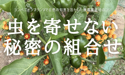 虫を寄せない 秘密の組合せ