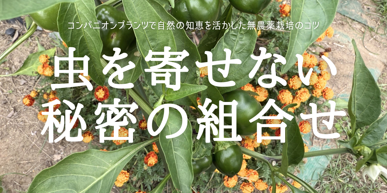 虫を寄せない 秘密の組合せ