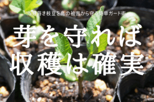 芽を守れば 収穫は確実