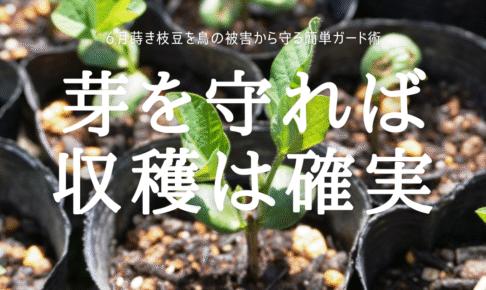 芽を守れば 収穫は確実