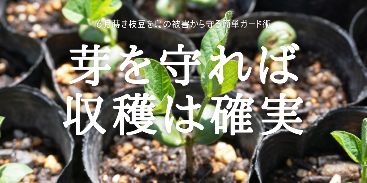 芽を守れば 収穫は確実