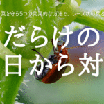 穴だらけの葉 今日から対策