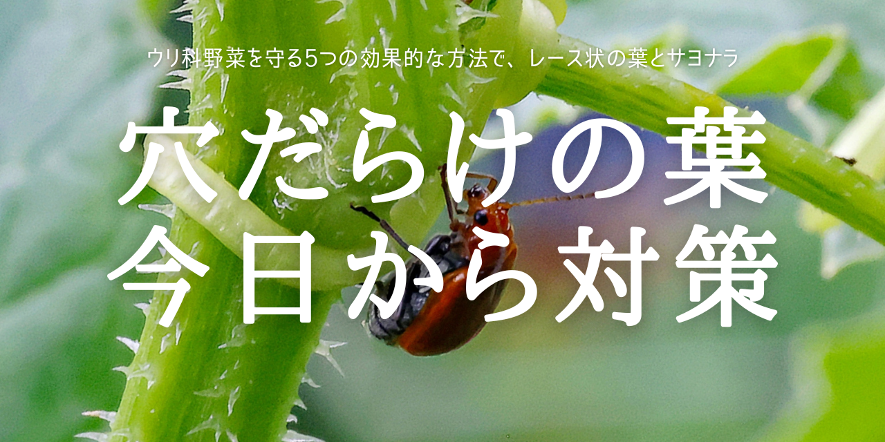 穴だらけの葉 今日から対策