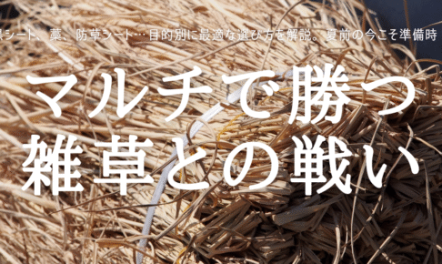 マルチで勝つ 雑草との戦い