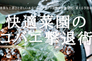 快適菜園の コバエ撃退術