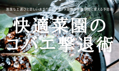 快適菜園の コバエ撃退術