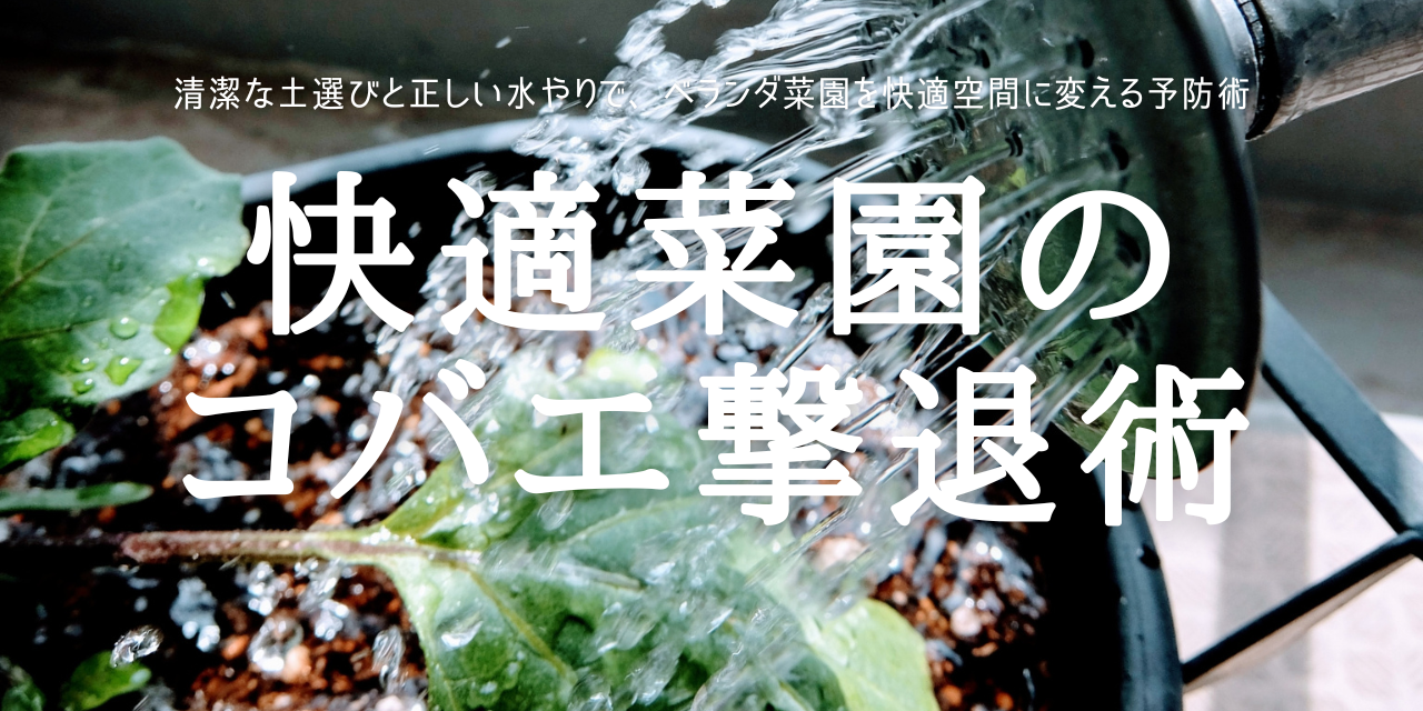 快適菜園の コバエ撃退術